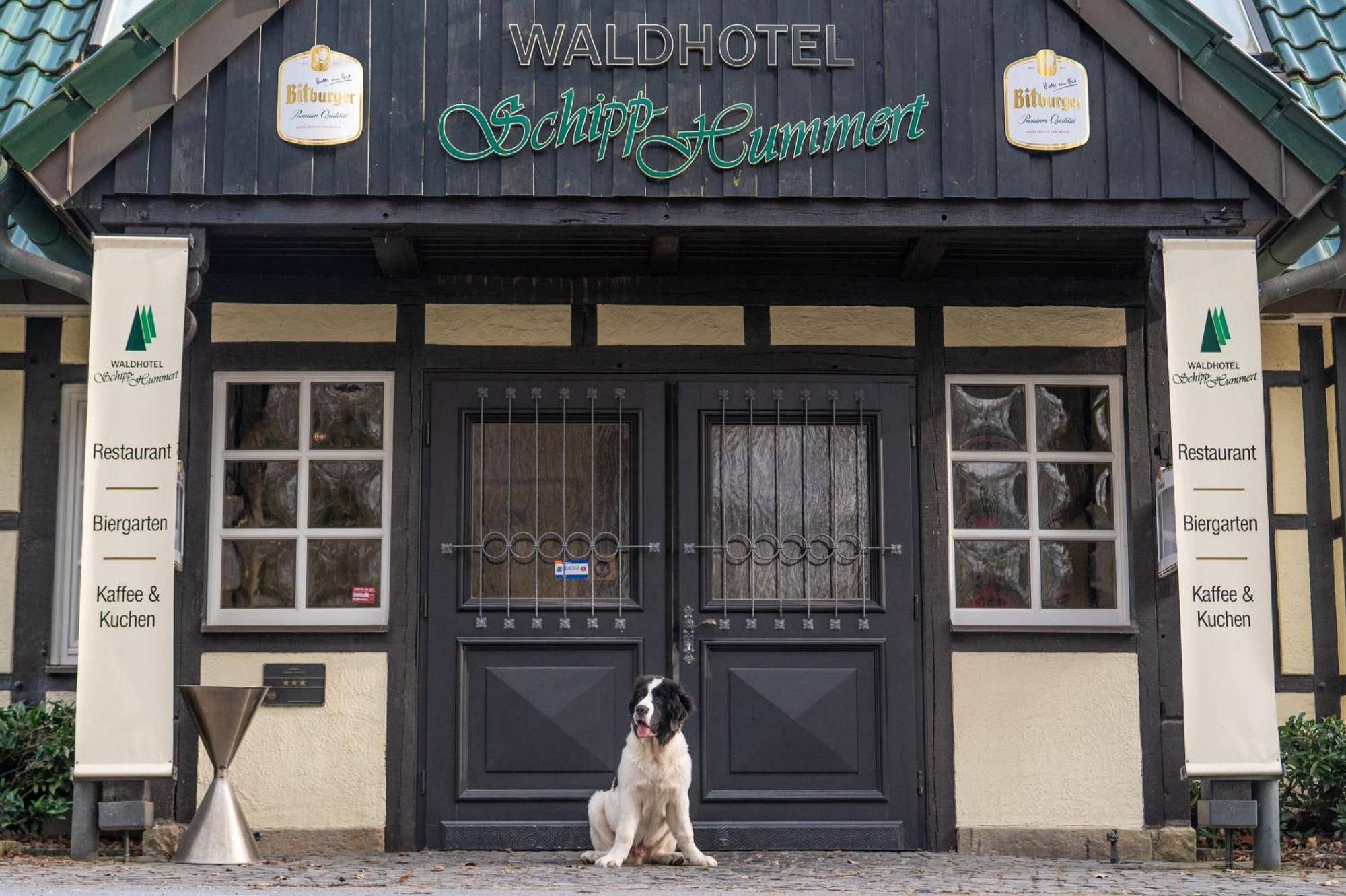 Waldhotel Schipp-Hummert Emsdetten Ngoại thất bức ảnh